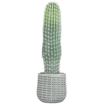 HOMCOM Cactus artificial 66 cm, planta artificiala decorativa cu ghiveci pentru decor interior, verde | Aosom Romania imagine