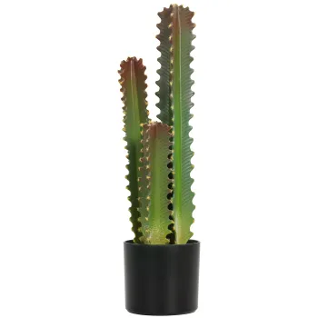 HOMCOM Cactus Artificial 66 cm Planta Artificiala Decorativa cu Ghiveci si 3 Frunze pentru Decor Interior Verde | Aosom Romania imagine