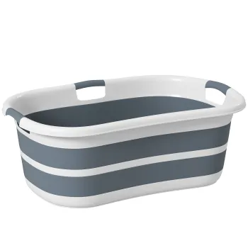  Piscina pentru caini imagine