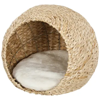  Culcusuri pentru pisici imagine