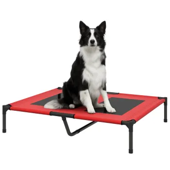  Culcusuri pentru caini imagine