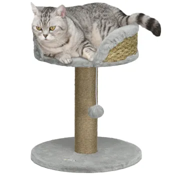  Ansambluri pentru pisici imagine