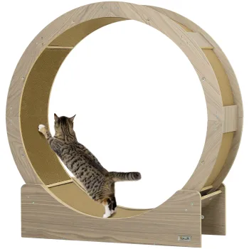  Ansambluri pentru pisici imagine