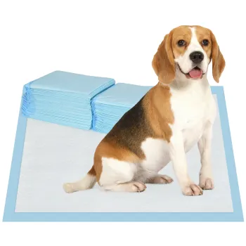 PawHut Set 80 Covoare Absorbante pentru Caini cu 6 Straturi, Covoare Igienice pentru Caini, 60x60 cm, Albastru | Aosom Romania imagine