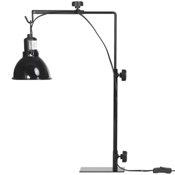 PawHut Suport de lampa termica pentru reptile inaltime si latime reglabile pentru amfibieni baza din otel 32 x 9 x 67 cm negru | Aosom Romania imagine