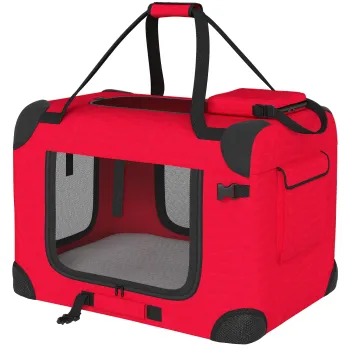  Genti de transport imagine