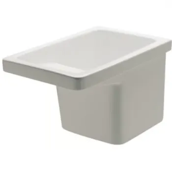 Lavoar pentru rufe incastrat Roca Henares 60x39 cm imagine