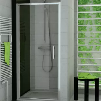 Usa de nisa batanta SanSwiss Top-Line TOPP100xH190 cm, profil argintiu imagine