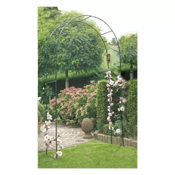 Arcada pentru plante cataratoare - Garden Pleasure imagine