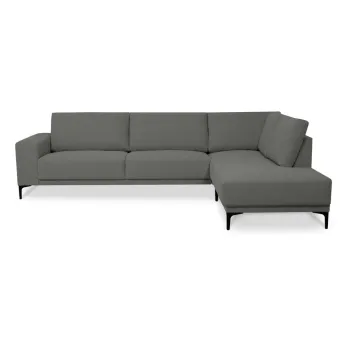 Coltar gri (colt pe partea stanga ) Chile - Scandic imagine