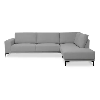 Coltar gri (colt pe partea stanga ) Chile - Scandic imagine