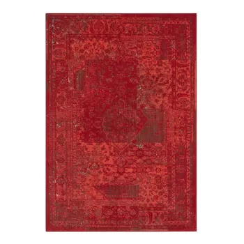 Covor Hanse Home Celebration Plume, 80x150 cm, rosu imagine