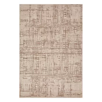 Covor maro/bej 120x80 cm Terrain - Hanse Home imagine