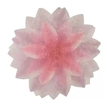 Covor Vitaus Flowerina, ? 80 cm imagine