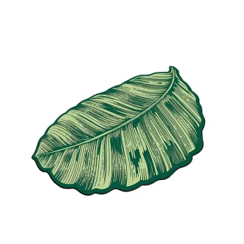 Covoras de baie verde 60x100 cm Sheet - Foutastic imagine