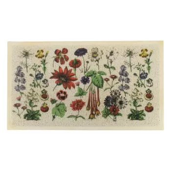 Covoras de intrare 40x70 cm Botanicals - Artsy Doormats imagine