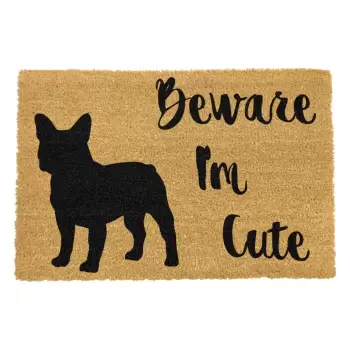 Covoras intrare din fibre de cocos Artsy Doormats Cute French, 40 x 60 cm imagine