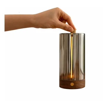 Decoratiune luminoasa portabila cu USB o 7 cm Solis - Gingko imagine