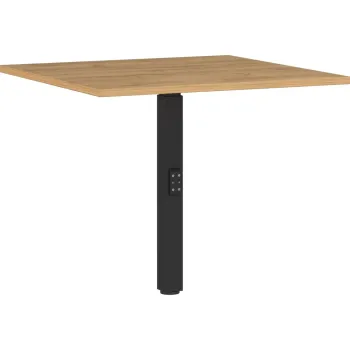  Blaturi suplimentare pentru masa imagine