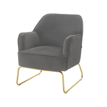 Fotoliu gri cu tapiterie din catifea Joshua - Storaa imagine