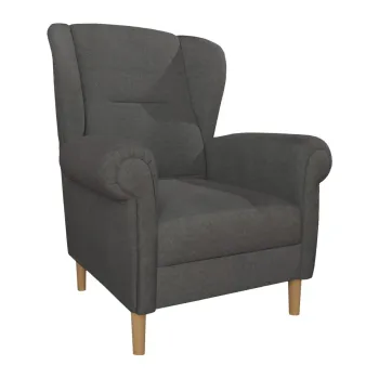 Fotoliu gri inchis wing Swan - Ropez imagine
