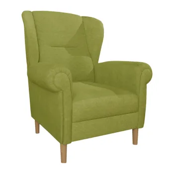 Fotoliu verde wing Swan - Ropez imagine