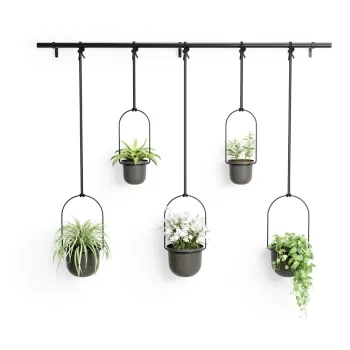 Ghivece 5 buc. din plastic pentru ierburi aromatice Triflora - Umbra imagine