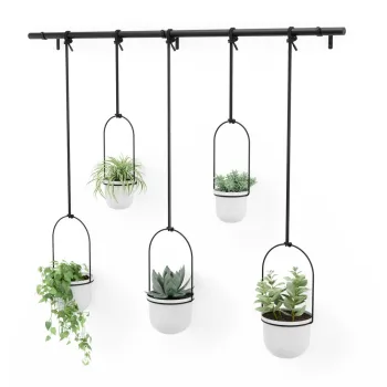 Ghiveci decorativ 5 buc. din plastic pentru ierburi aromatice/de agatat / de perete o 7,5 cm Triflora - Umbra imagine