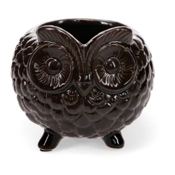 Ghiveci decorativ din ceramica o 11 cm Owl - Rex London imagine