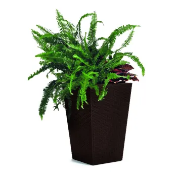 Ghiveci decorativ din plastic Rattan - Keter imagine