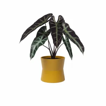 Ghiveci din ceramica o 14 cm Diana - Artevasi imagine