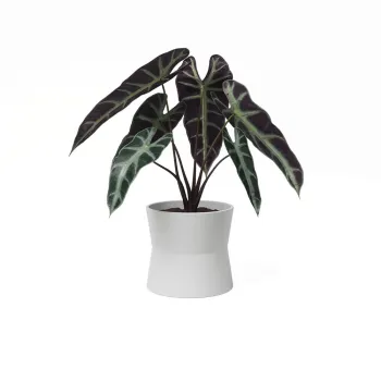 Ghiveci din ceramica o 14 cm Diana - Artevasi imagine
