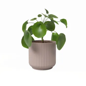 Ghiveci din ceramica o 15 cm Luna - Artevasi imagine