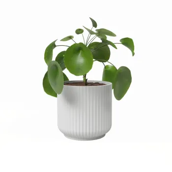 Ghiveci din ceramica o 19 cm Luna - Artevasi imagine