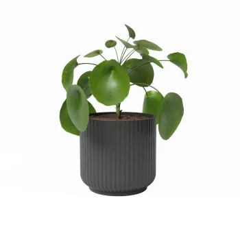 Ghiveci din ceramica o 19 cm Luna - Artevasi imagine