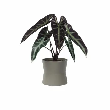 Ghiveci din ceramica o 20 cm Diana - Artevasi imagine