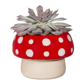 Ghiveci din gresie o 12 cm - Sass & Belle imagine