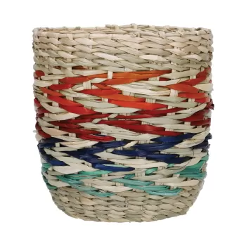 Ghiveci din iarba de mare Kitchen Craft Rainbow, multicolor imagine