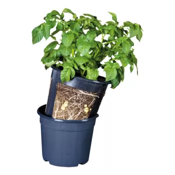Ghiveci pentru cartofi Esschert Design, o 30,2 cm imagine