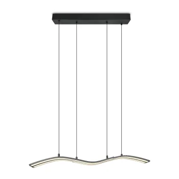 LustrAnegru-mat LED cu control prin telecomandAf/cu intensitate reglabilAdin metal Spider aEURTrio Select imagine