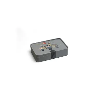 Organizator pentru blocuri si figurine Harry Potter - LEGO(R) imagine