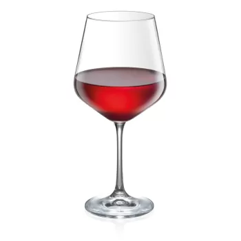 Pahare 6 buc. de vin 0.57 l Giorgio - Tescoma imagine