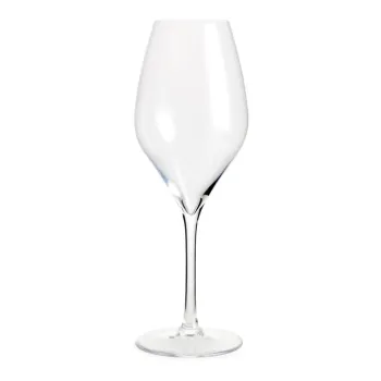 Pahare de sampanie 2 buc. 370 ml Premium - Rosendahl imagine