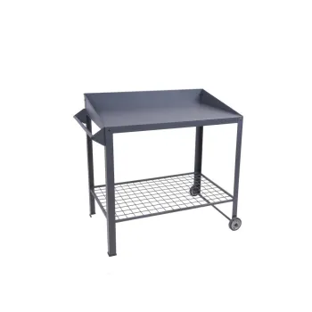 Pat ridicat de plante Diana - Garden Pleasure imagine