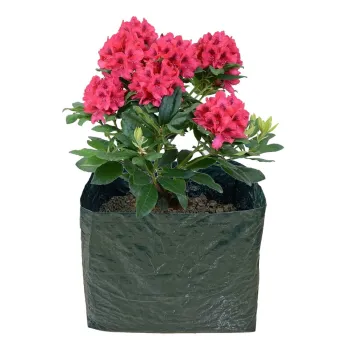 Pat ridicat de plante - Garden Pleasure imagine