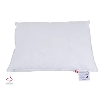 Perna cu umplutura de pene 50x70 cm Jack the Dullard - Ringsted Dun imagine