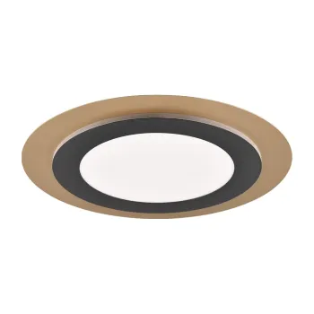 Plafoniera neagra-aurie LED cu intensitate reglabila o 45 cm Morgan - Trio imagine