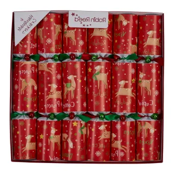 Pocnitori de Craciun 6 buc. Rudolph & Friends - Robin Reed imagine