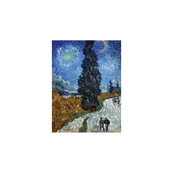 Reproducere tablou Vincent van Gogh - Country Road in Provence by Night, 60 x 45 cm imagine