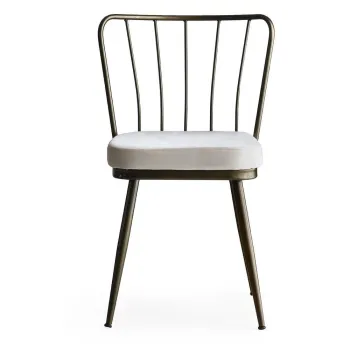 Scaune de dining gri 2 buc. din metal Yildiz - Kalune Design imagine